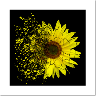 Sunflowers decay, disintegration, sunflower, splash Posters and Art